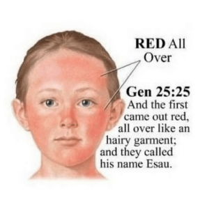 red-all-over-gen-25-25-and-the-first-came-out-19419797